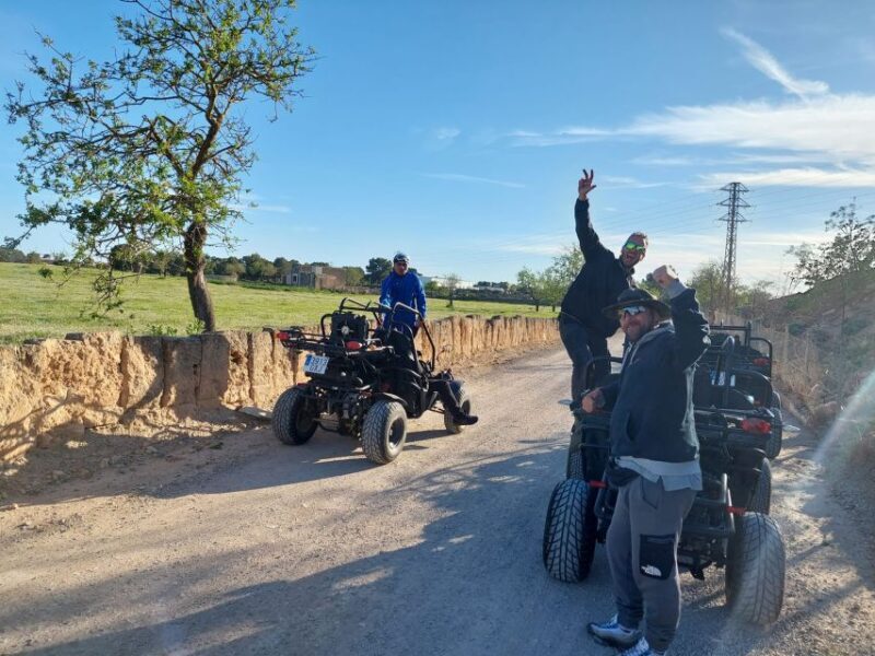 Mallorca: Buggy Tour Adventure with Cove Swimming - Key Points