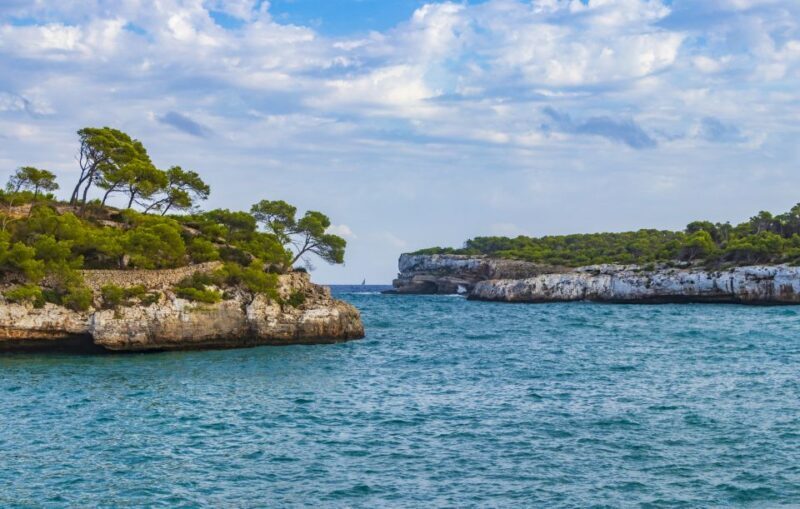 Mallorca: Cala Mondragó Natural Park Jetski Tour - Key Points