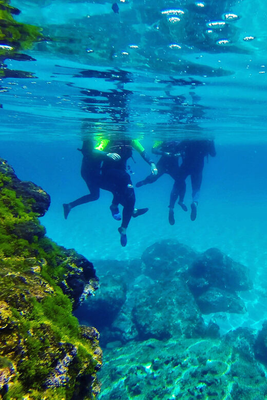 Mallorca: Cala Romántica Cliff Hike and Sea Cave Tour - Authentic Experiences and Authentic Guides