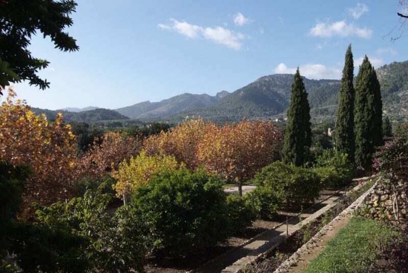 Mallorca: Campanet Caves Entry Ticket - FAQs