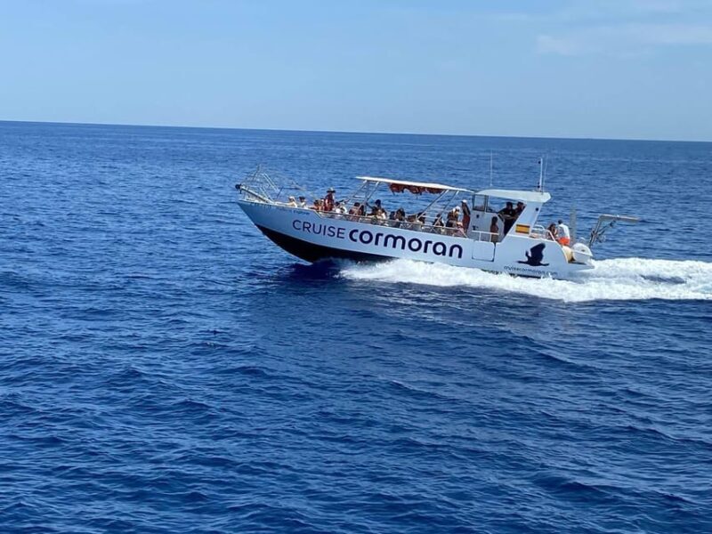 Mallorca: Caves, Cliffs, and Coves Boat Trip - Exploring the Cruise Experience