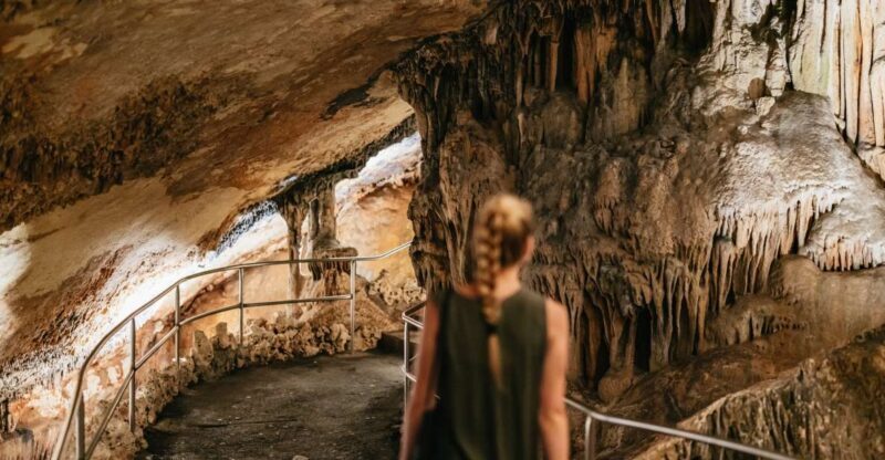 Mallorca: Caves of Drach Day Trip & Optional Caves of Hams - A Deep Dive into the Experience