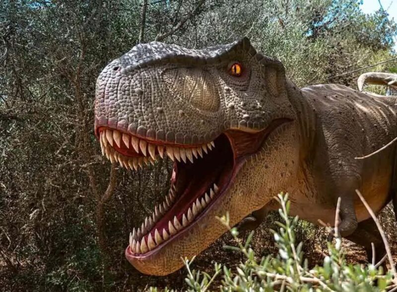 Mallorca: Caves of Hams and Dinosaurland Ticket with Pickup - Key Points