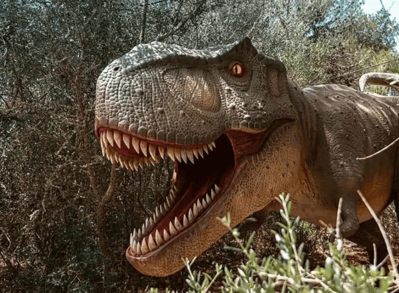 Mallorca: Caves of Hams and Dinosaurland Ticket with Pickup - The Sum Up