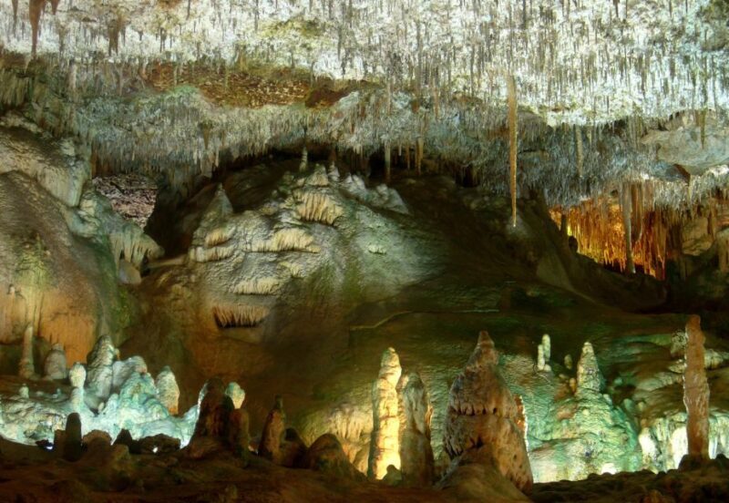 Mallorca: Caves of Hams and Dinosaurland Ticket with Pickup - FAQ