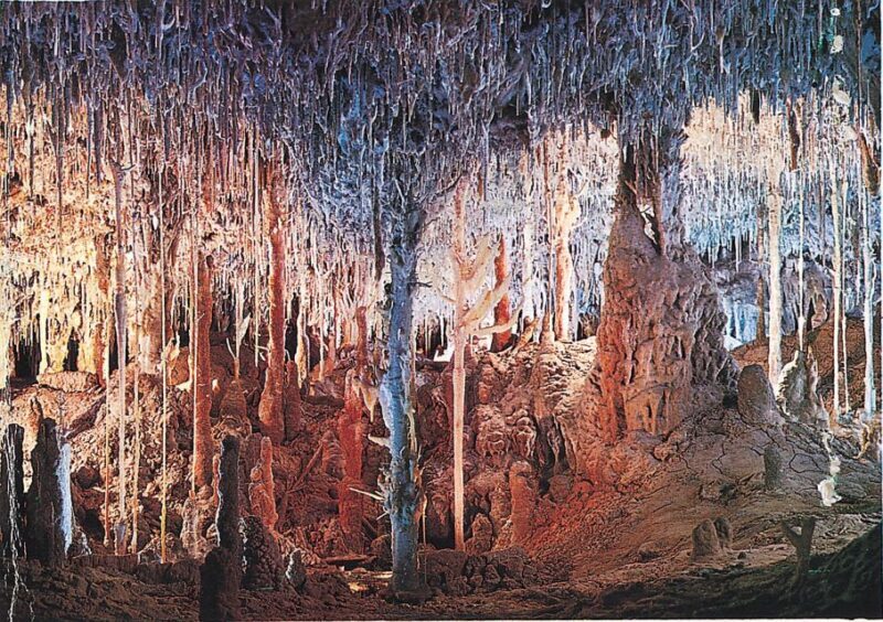 Mallorca: Caves of Hams, Blue Cave and audiovisual - The Sum Up: Who Is This Tour Best For?