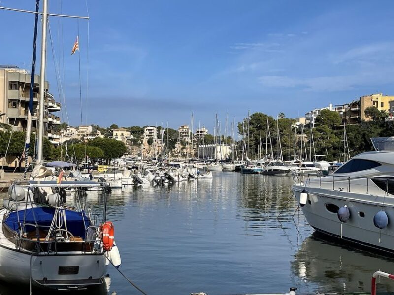 Mallorca: Caves of Hams Entry Ticket with Transportation - Who Should Consider This Tour?