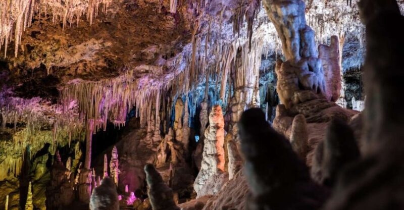 Mallorca: Day Trip to Caves of Hams & Optional Dinosaurland - Key Points