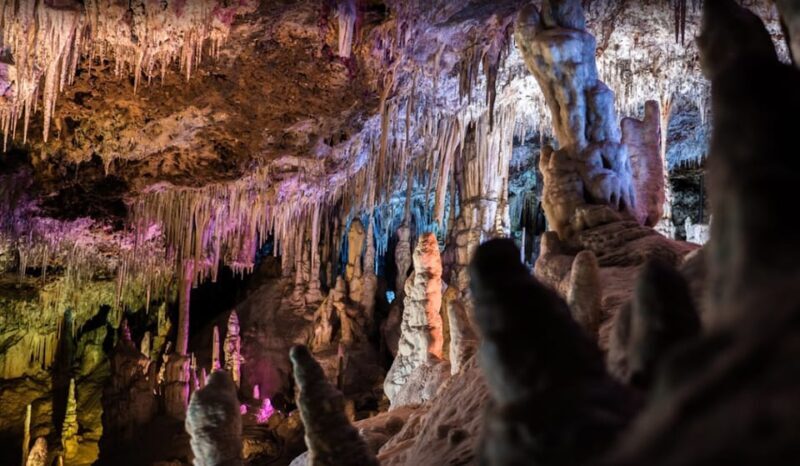 Mallorca: Day Trip to Caves of Hams & Optional Dinosaurland - A Closer Look at the Tour