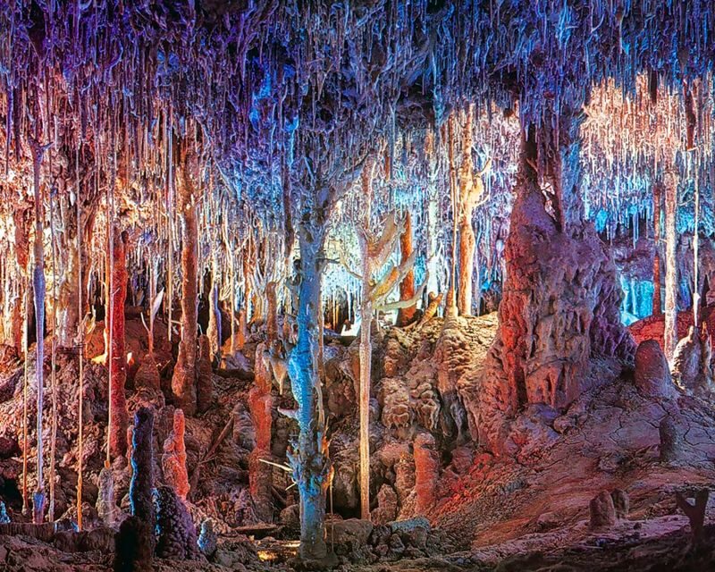 Mallorca: Dinosaurland and Caves of Hams Combined Ticket - Exploring the Hams Caves