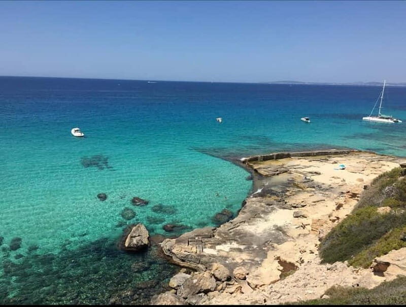 Mallorca: Discover paradisiacal coves on board of an exclusive catamaran - Authentic Experience with Guides and Flexibility