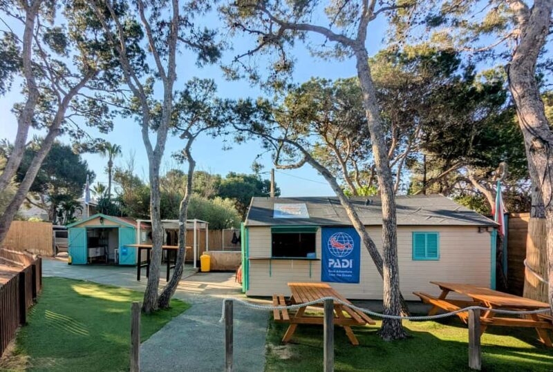 Mallorca: Discover Scuba Diving Experience - Key Points