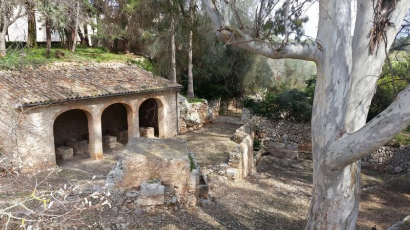 Mallorca: Discovering 5 Charming Villages of Mallorca - Final Thoughts