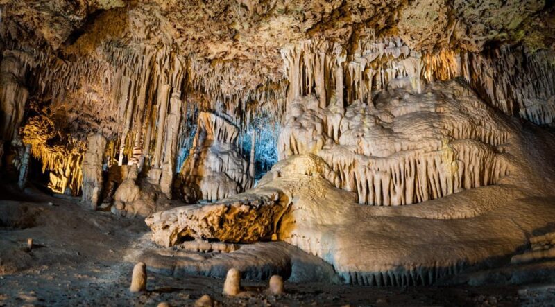 Mallorca: Drach and Hams Caves, and Porto Cristo Day Tour - FAQ