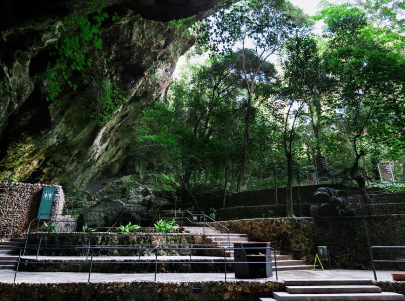 Mallorca: Drach Caves, Lake Martel, & Pearl Factory Day Trip - A Deep Dive into the Tour Experience