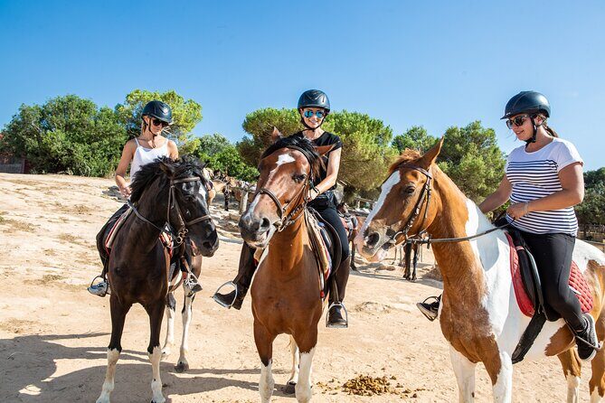 Mallorca Evening Tour: Horseback Riding, Dinner and Dance - A Deep Dive into the Experience