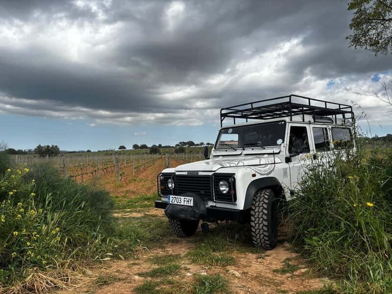 Mallorca: Exclusive wine tour with breakfast, wine tasting, and paella - Discovering Mallorcas Wine Heritage