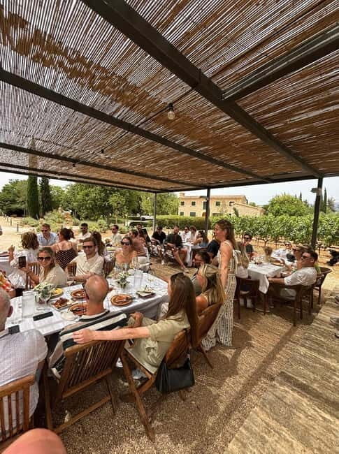 Mallorca: Exclusive wine tour with breakfast, wine tasting, and paella - Practical Details and Value