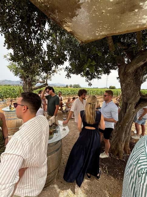 Mallorca: Exclusive wine tour with breakfast, wine tasting, and paella - Who Will Love This Tour?