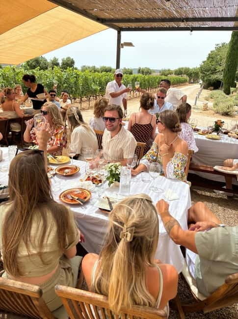 Mallorca: Exclusive wine tour with breakfast, wine tasting, and paella - The Sum Up