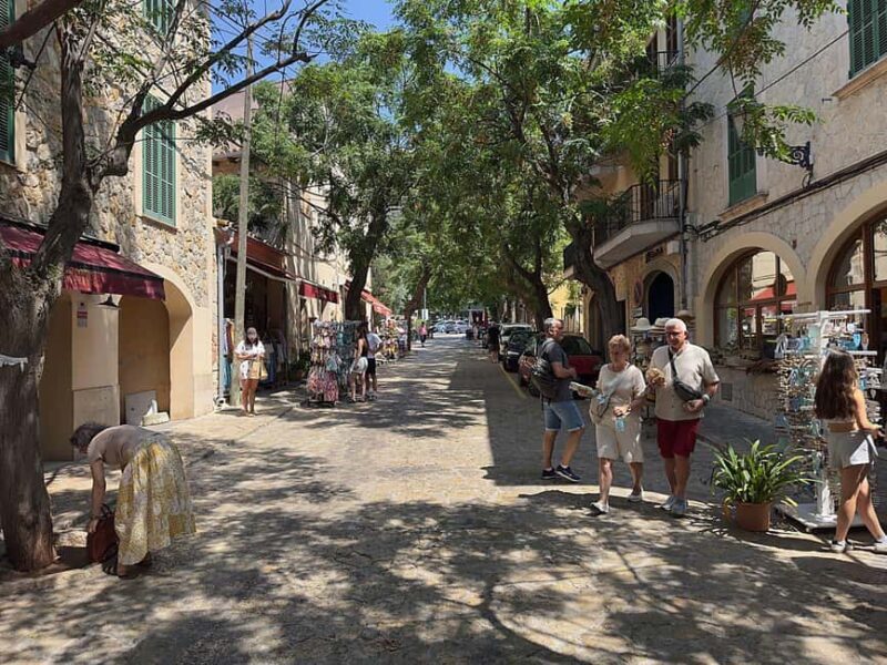 Mallorca: Full-Day Scenic Villages Tour with local Lunch - Mallorca: Full-Day Scenic Villages Tour with Local Lunch