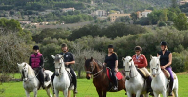 Mallorca: Guided Horseriding Tour of Randa Valley - An Authentic Ride Through Mallorca’s Countryside