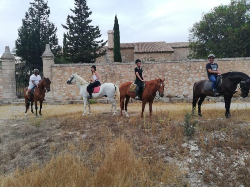 Mallorca: Guided Horseriding Tour of Randa Valley - What’s Included and What to Expect