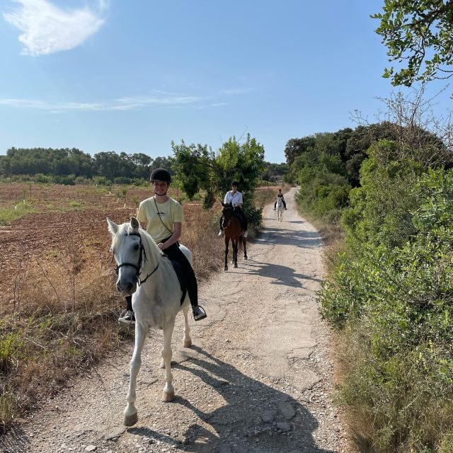 Mallorca: Guided Horseriding Tour of Randa Valley - The Experience Itself: Riding and Beyond