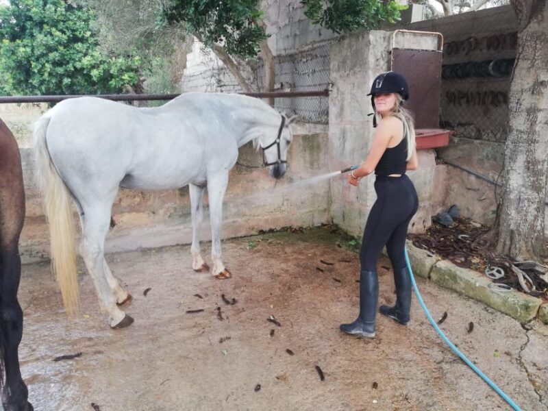 Mallorca: Guided Horseriding Tour of Randa Valley - Authenticity and Value
