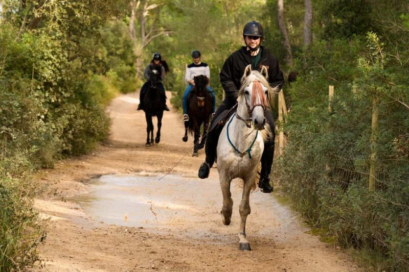 Mallorca: Guided Horseriding Tour of Randa Valley - Who Would Love This Tour?