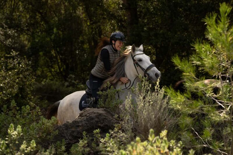 Mallorca: Guided Horseriding Tour of Randa Valley - The Sum Up