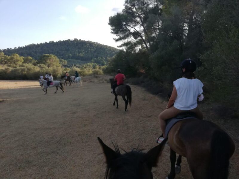 Mallorca: Guided Horseriding Tour of Randa Valley - FAQ