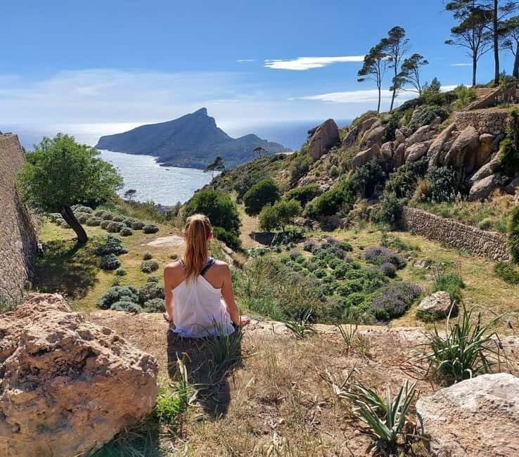 Mallorca hiking tour "Castell d'Alaró" - The Route and What to Expect