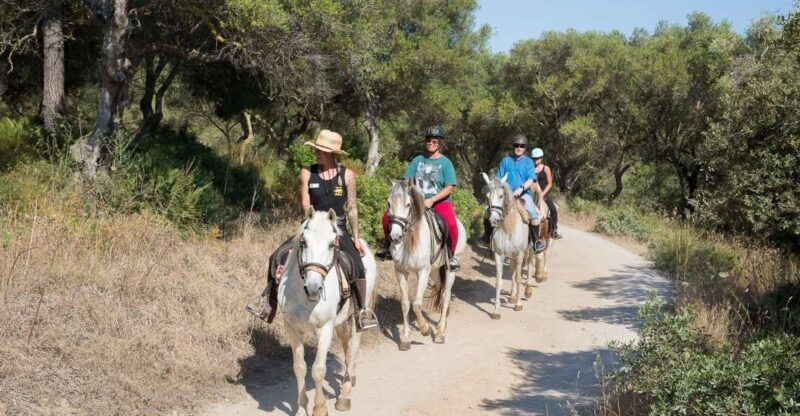 Mallorca: Horseback Riding Excursion and Wine Tasting - Authenticity and Cultural Insights