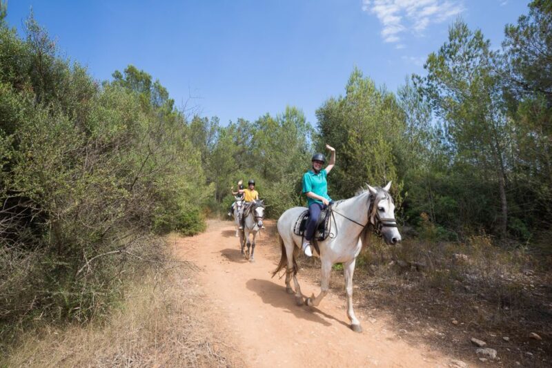 Mallorca: Horseback Riding Excursion and Wine Tasting - Why You Should Consider This Tour