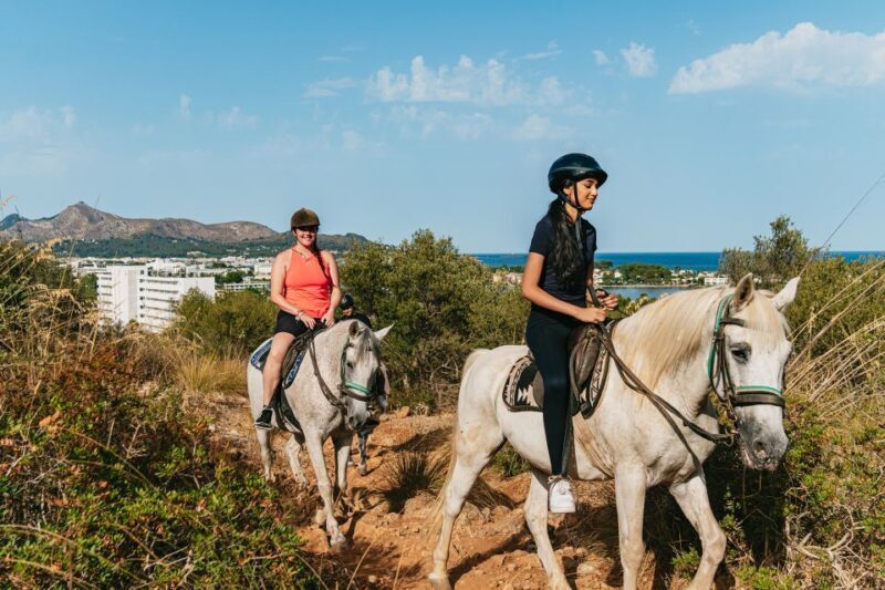 Mallorca: Horseback Riding Experience with Food Options - What to Expect from Your Horseback Riding Adventure in Mallorca