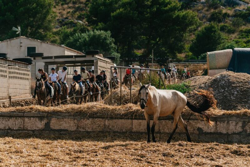 Mallorca: Horseback Riding Experience with Food Options - FAQ