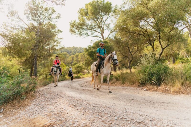 Mallorca: Horseback Riding Experience with Food Options - Final Thoughts