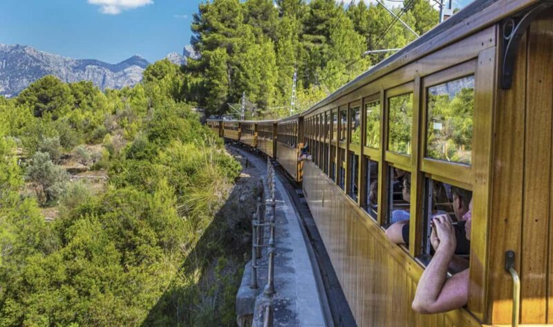 Mallorca Island Tour with Boat, Train, Tram and Bus - An In-Depth Look at the Mallorca Island Tour