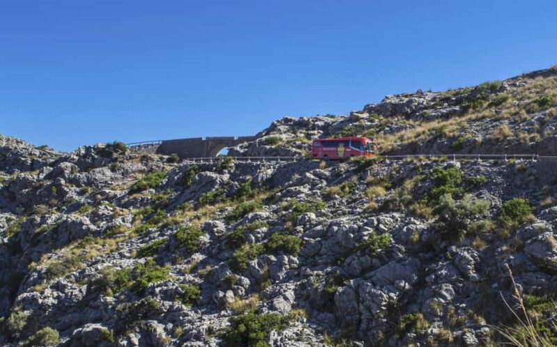 Mallorca Island Tour with Boat, Train, Tram and Bus - Who Will Love This Tour?