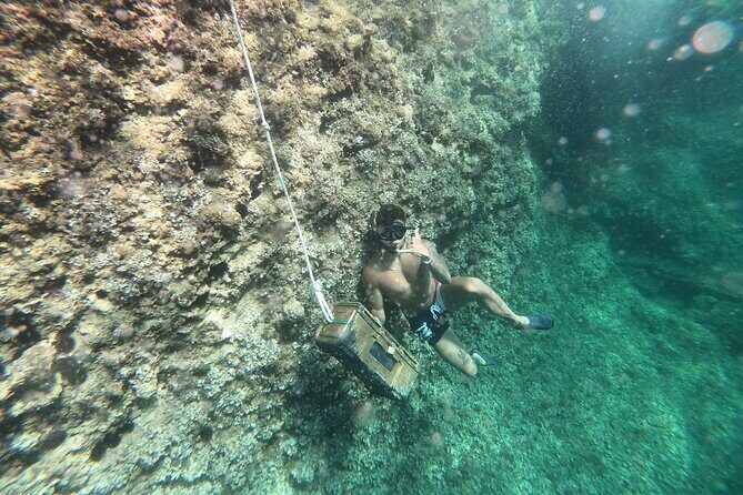 Mallorca: Kayaking, Sea Cave, Cliff Jumping & Snorkel Tour - A Closer Look at the Mallorca Adventure Tour