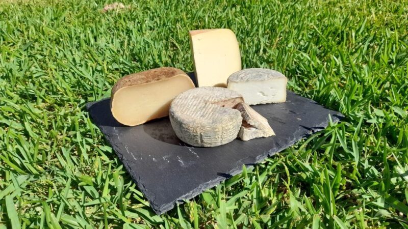 Mallorca: Local Wines & Foods Tasting - Mallorca: Local Wines & Foods Tasting — A Flavorful Journey in the Balearic Islands