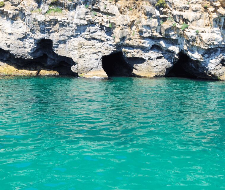 Mallorca Marine reserve: Visit caves, cliffs and snorkeling - Who Should Consider This Tour?