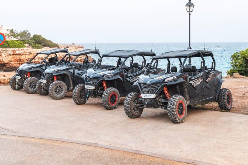 Mallorca: Mountain Buggy Adventure with Secret Coves Tour - Practical Aspects: Price, Duration, and What’s Included