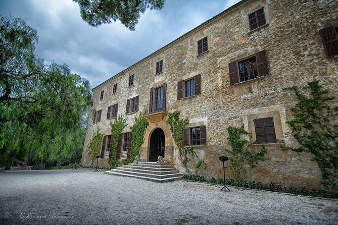 Mallorca Off the Beaten Track - Who Is This Tour Best For?