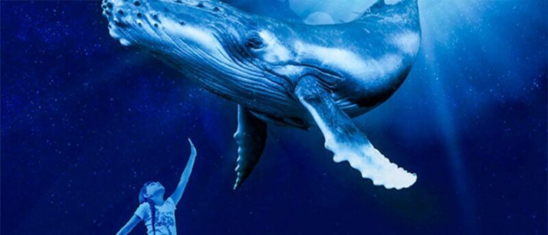 Mallorca: Palma Aquarium Entry Ticket w/ Optional 3D Cinema - What Visitors Are Saying