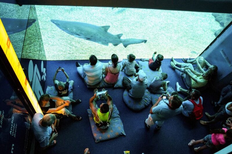 Mallorca: Palma Aquarium Entry Ticket w/ Optional 3D Cinema - Who Should Consider Visiting Palma Aquarium?