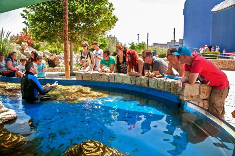 Mallorca: Palma Aquarium Entry Ticket w/ Optional 3D Cinema - Final Thoughts: Is Palma Aquarium Worth It?