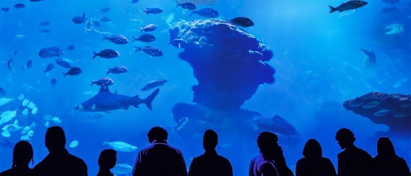 Mallorca: Palma Aquarium Entry Ticket w/ Optional 3D Cinema - FAQ – Your Questions Answered