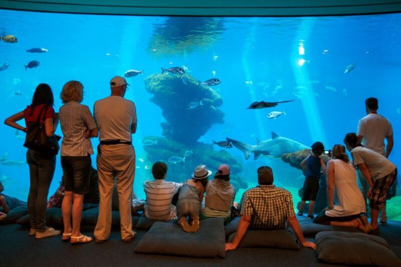 Mallorca: Palma Aquarium Tickets with Transfer - Key Points